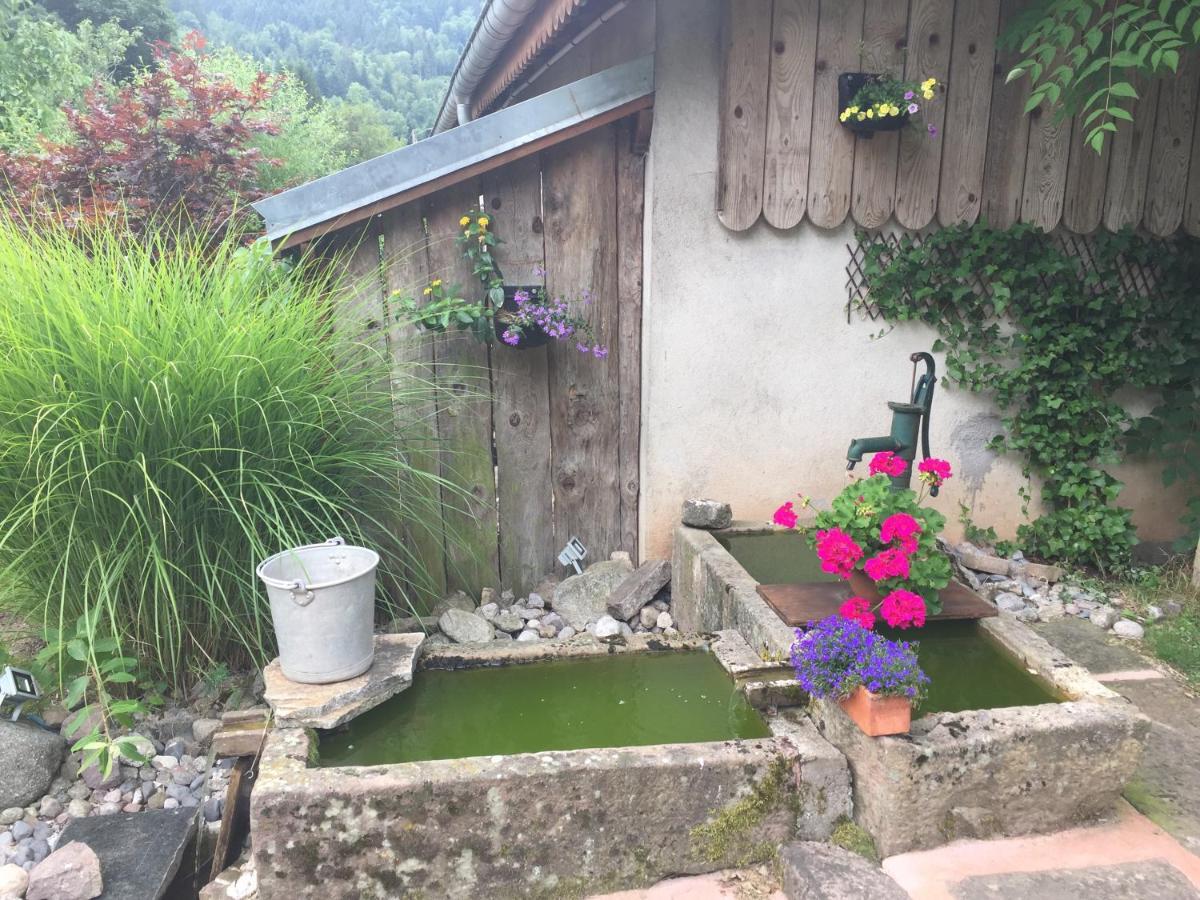 Gite De La Mesange Rochesson Dış mekan fotoğraf