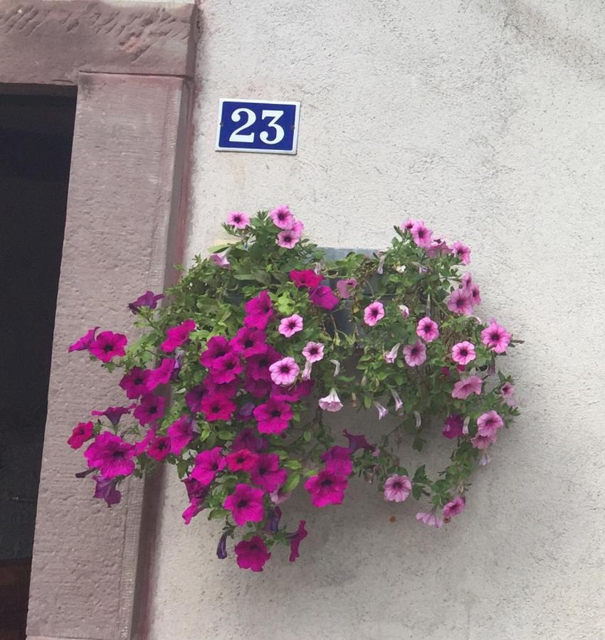 Gite De La Mesange Rochesson Dış mekan fotoğraf